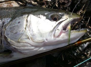 Epoxy Miracle -> LCR Miracle Epoxy Miracle -> LCR Miracle